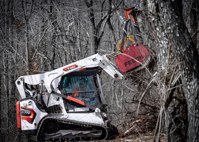 Brush & Overgrowth Removal