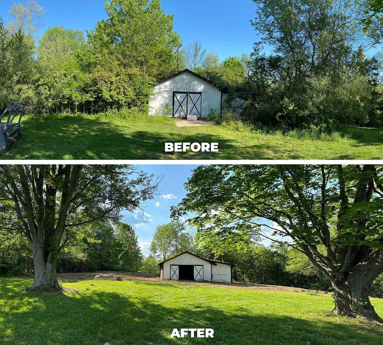 Forestry Mulching & Land Clearing